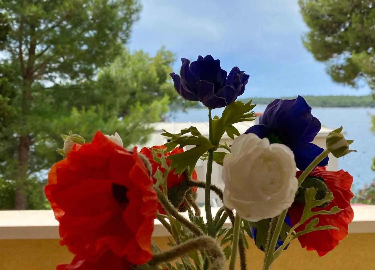 Apartments Atila Mali Lošinj